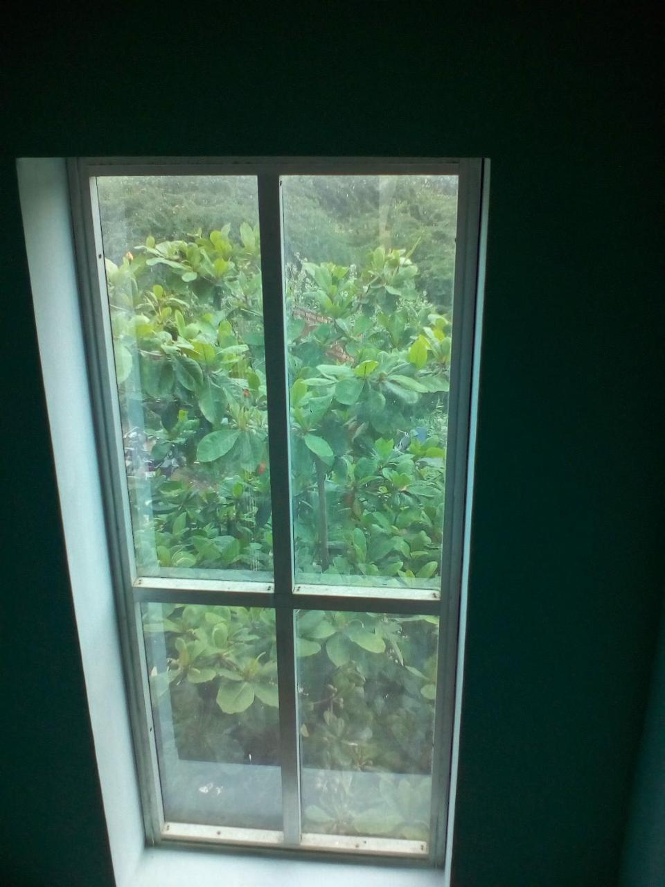 Sai Guest House Tiruvannāmalai エクステリア 写真